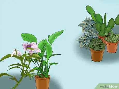 Image titled Plant a Low Water Garden Step 6