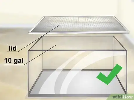 Image titled Care for a Tokay Gecko Step 1