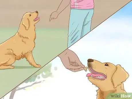 Image titled Train a Golden Retriever Step 11