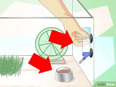 Image titled Set up a Gerbilarium Step 5