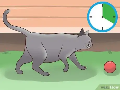 Image titled Treat Obesity in Cats Step 9