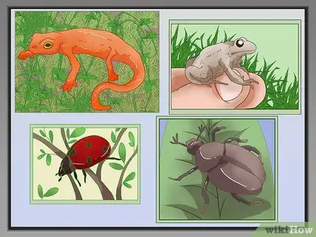 Image titled Make Moss Terrariums Step 14