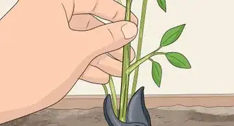 Design a Small Garden