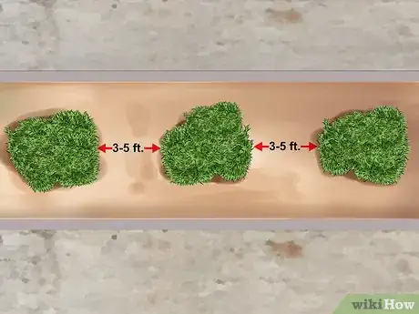 Image titled Divide a Phlox Plant Step 11