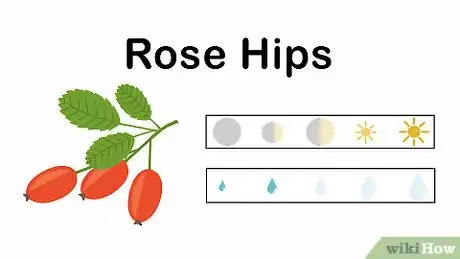 Image titled Grow an Herbal Tea Garden Step 8