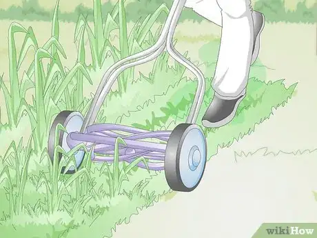 Image titled Dog Proof a Yard Step 10