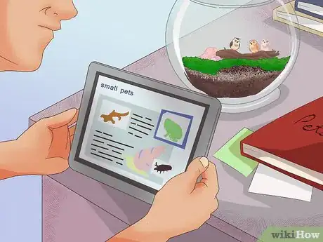 Image titled Make Moss Terrariums Step 13