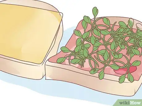 Image titled Grow Alfalfa Sprouts Step 21