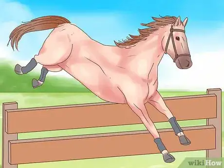Image titled Choose Your Horse Step 5