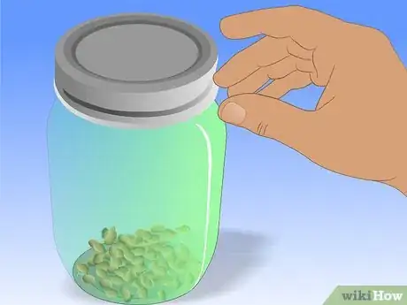 Image titled Save Watermelon Seeds for Planting Step 9