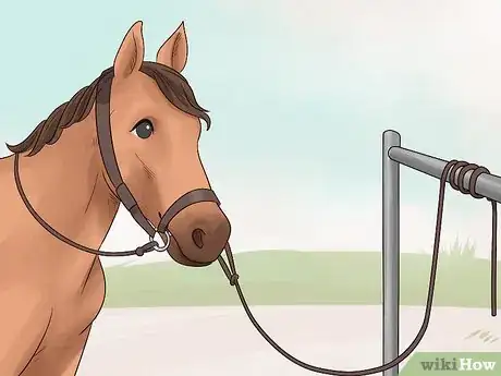 Image titled Put a Saddle On Step 1