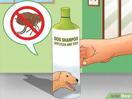 Image titled Treat Flea Bites on Dogs Step 6