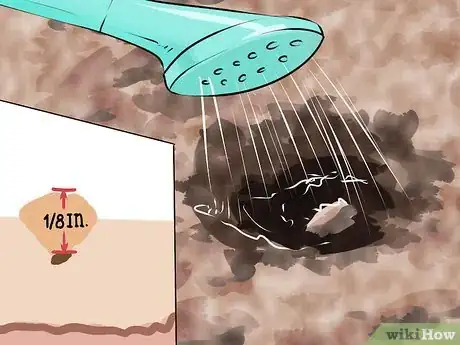 Image titled Grow Onions from Seed Step 4