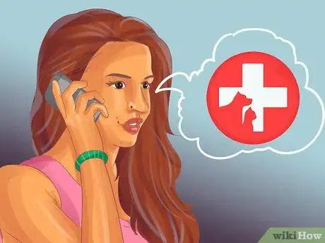 Image titled Treat Dental Disease in Senior Cats Step 8