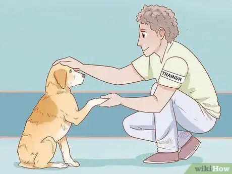 Image titled Train a Therapy Dog Step 12