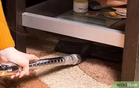 Image titled Spot Moth Damage on a Wool Area Rug Step 3