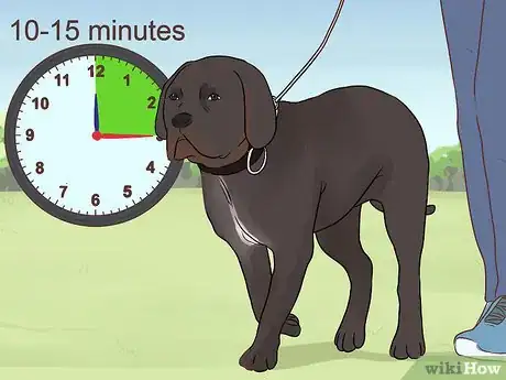 Image titled Support a Dog with Dementia Step 5