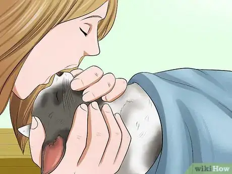 Image titled Help a Cat when No Vets Are Available Step 11