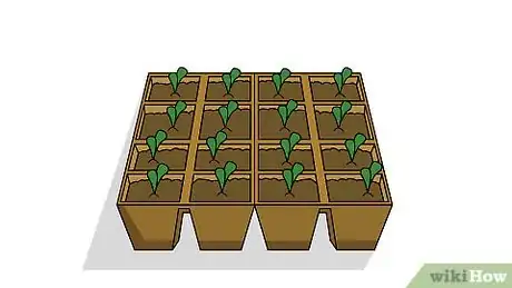 Image titled Grow Melons Step 4