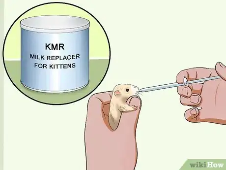 Image titled Make Baby Dwarf Hamster Food Step 1