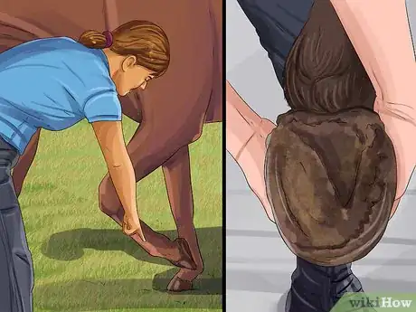 Image titled Clean a Horse's Hoof Step 5