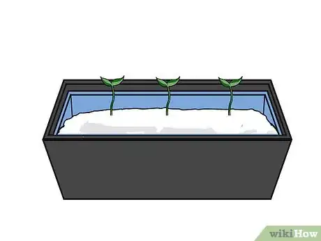 Image titled Grow Hydroponic Strawberries Step 16