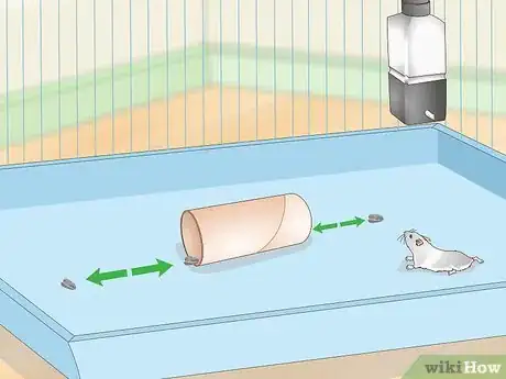 Image titled Train a Hamster to Run Through Tunnels Step 4