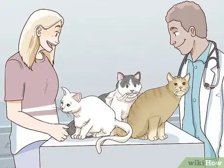 Image titled Encourage Group Scent in Multi‐Cat Households Step 5