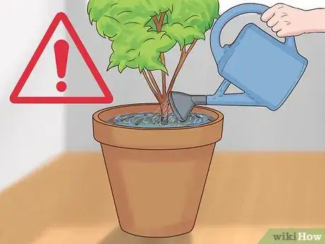 Image titled Maintain a Planter Step 7