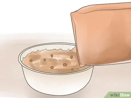 Image titled Treat Heart Failure in Dogs Step 2