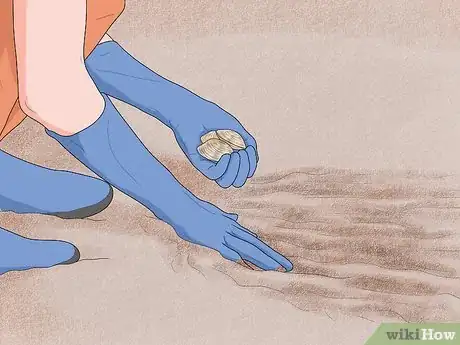 Image titled Rake Manilla Clams or Steamer Clams Step 6