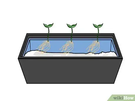 Image titled Grow Hydroponic Strawberries Step 15