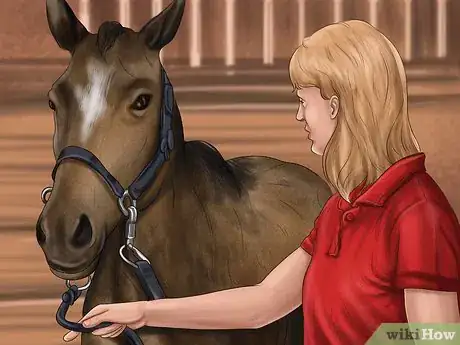 Image titled Teach Your Horse to Piaffe Step 10