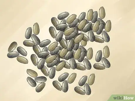 Image titled Use Chia Seeds Step 15