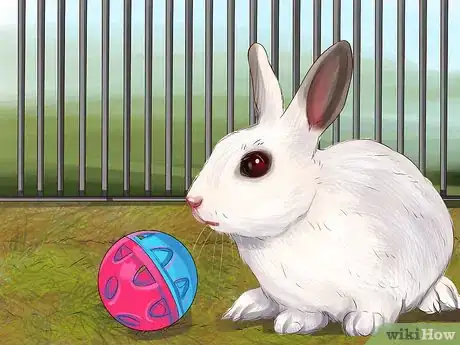 Image titled Choose Toys for Your Rabbit Step 4