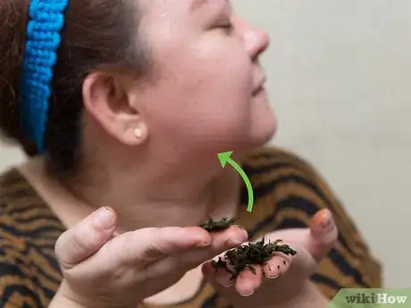 Image titled Get Rid of Acne Using Mint Leaves Step 5