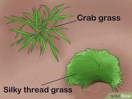 Image titled Plant a Low Water Garden Step 2