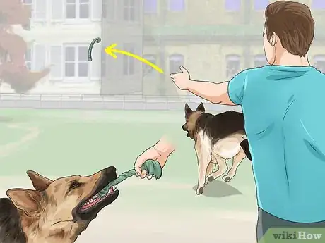 Image titled Exercise Your Dog Step 1