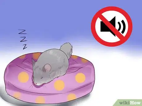 Image titled Know if a Chinchilla Is Right for You Step 10