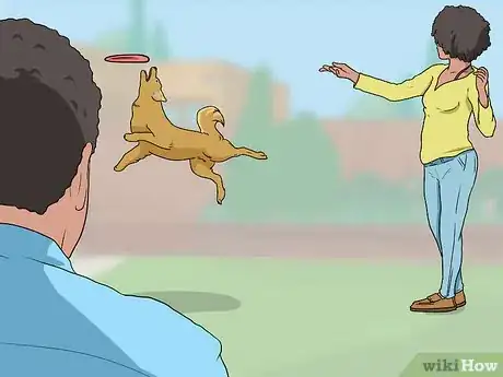 Image titled Choose Sod for Your Yard Step 7