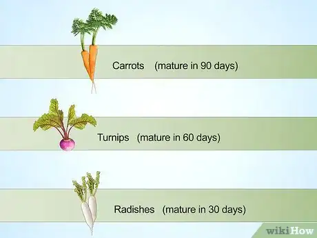 Image titled Plan a Winter Garden Step 7