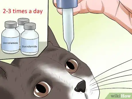 Image titled Treat Feline Glaucoma Step 2