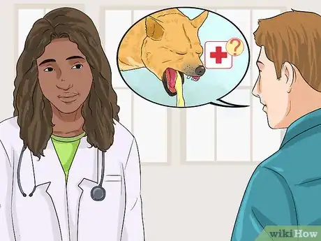 Image titled Holistically Care for a Dog Step 6