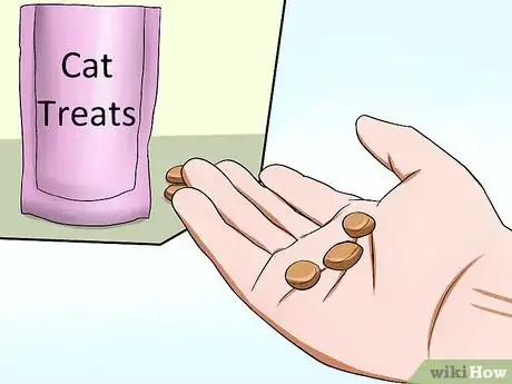 Image titled Get a Grumpy Cat to Like You Step 2