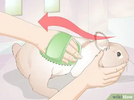 Image titled Care for Disabled Rabbits Step 13