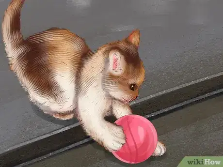 Image titled Choose a Heartworm Preventative for Your Cat Step 7