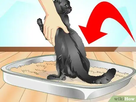 Image titled Introduce a Cat to a New Home Step 14