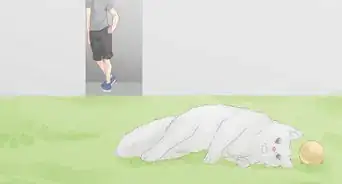 Keep a Cat from Running Away when It Is Moved