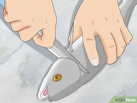 Image titled Preserve Fish Step 17