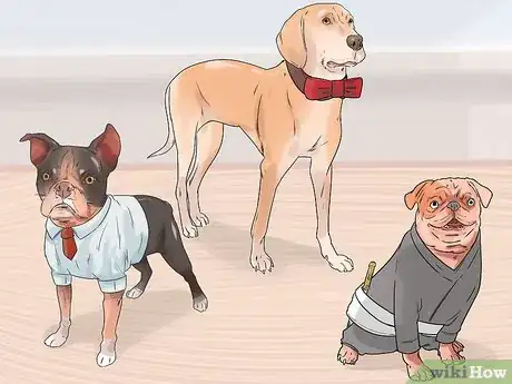 Image titled Get a Dog Ready for a Special Occasion Step 9
